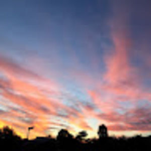 Meet your Posher, Sophie